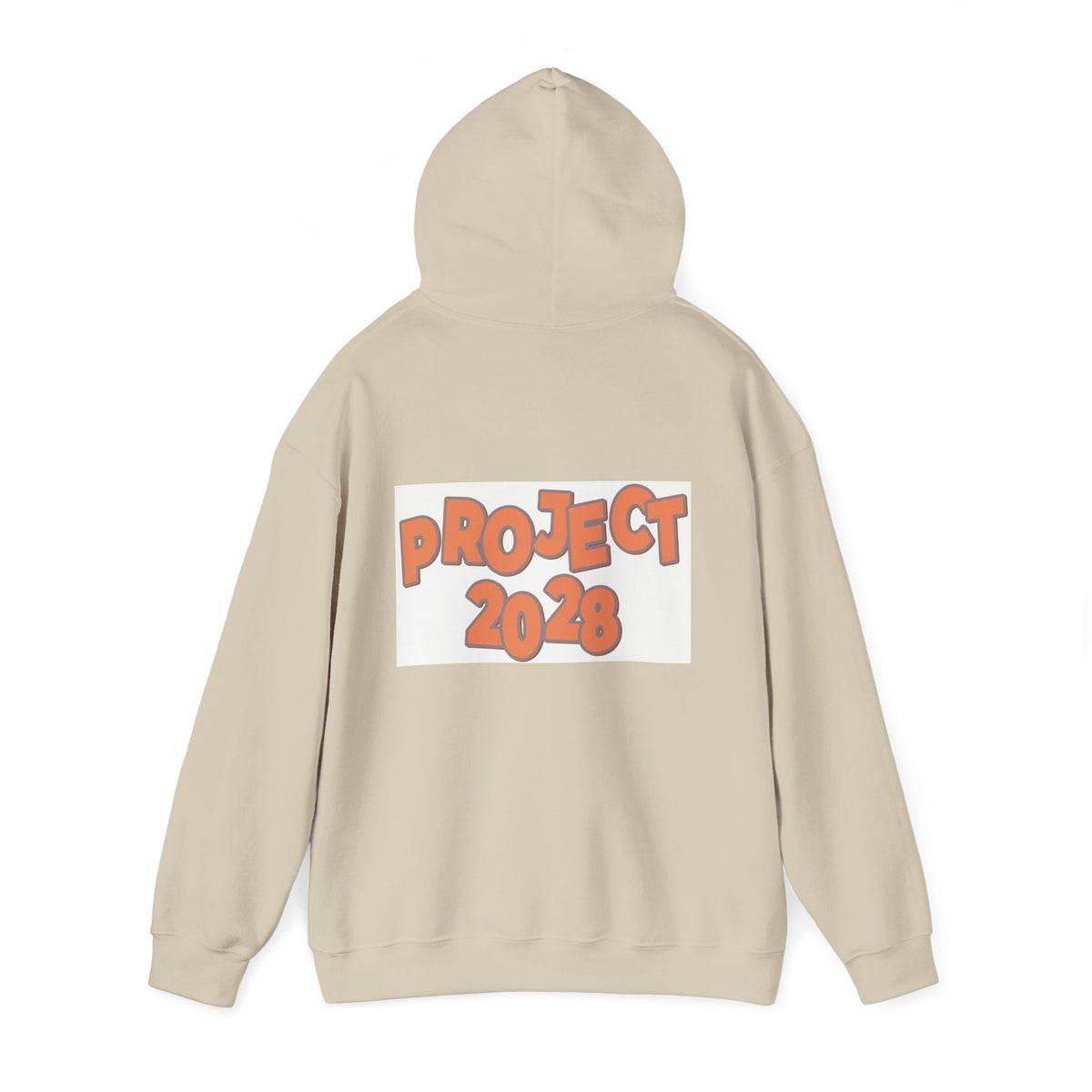 Project 2028 Hoodie | Protect Democracy text design