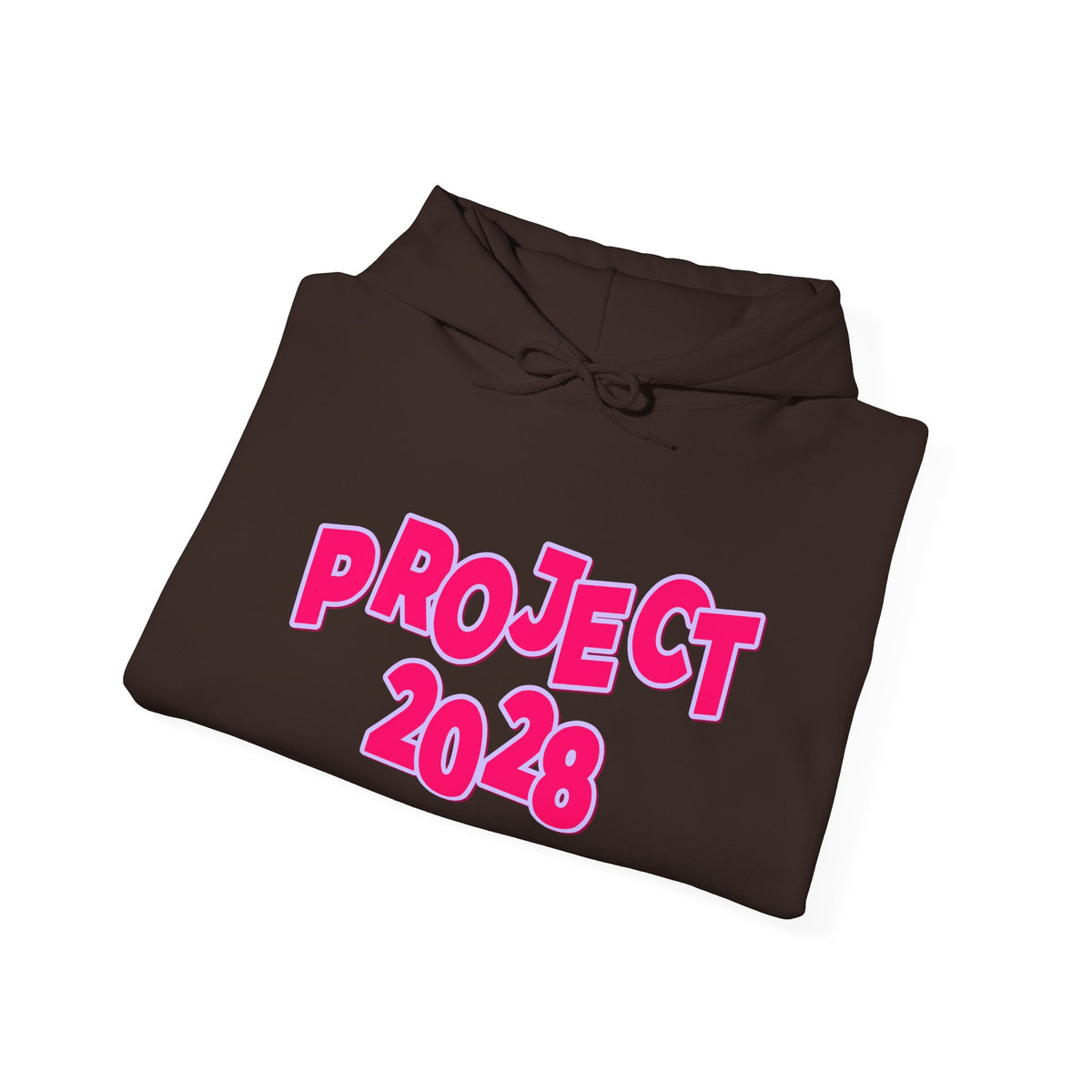 Project 2028 Hoodie | Social Awareness