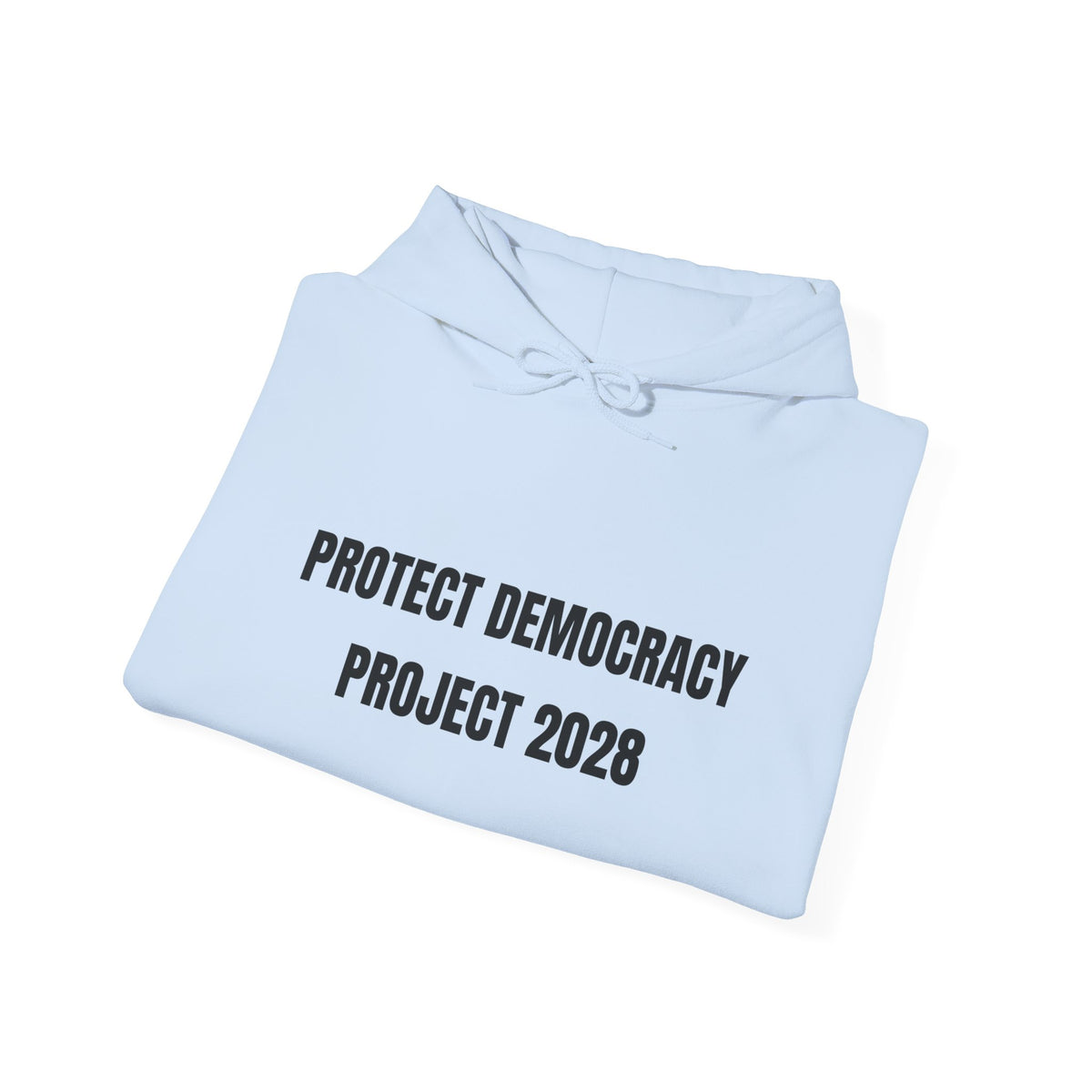 Protect Democracy Project 2028 Hoodie | Social Awareness