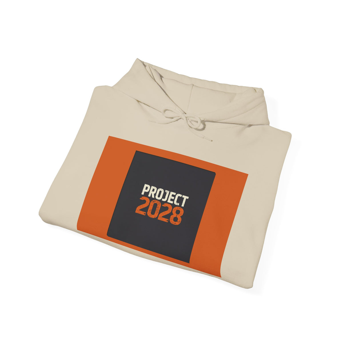 Project 2028 Graphic Hoodie | Democracy