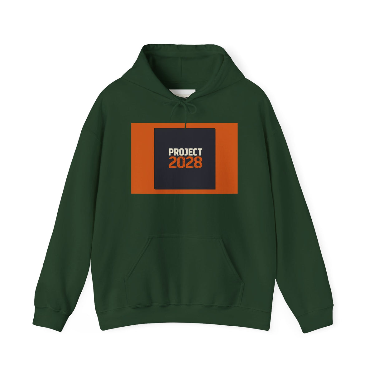 Project 2028 Graphic Hoodie | Democracy