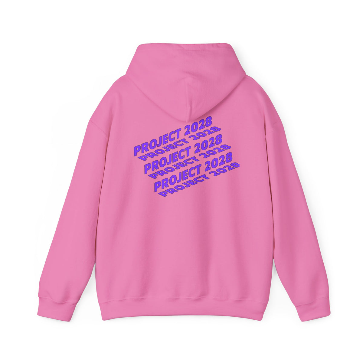 Project 2028 hoodie | Fight Back II text graphic, retro purple pink print