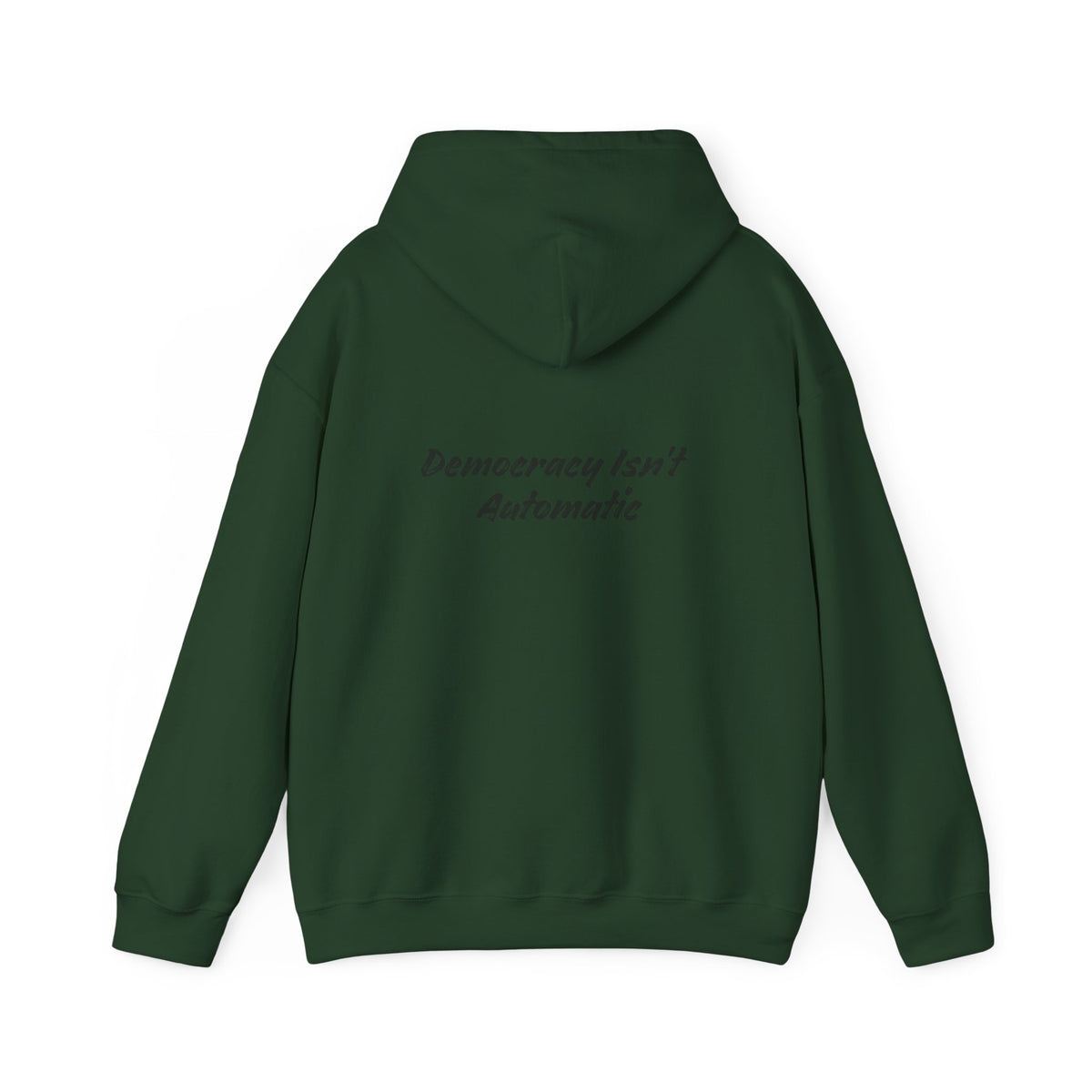 Protect Democracy Project 2028 Hoodie | democracy text design