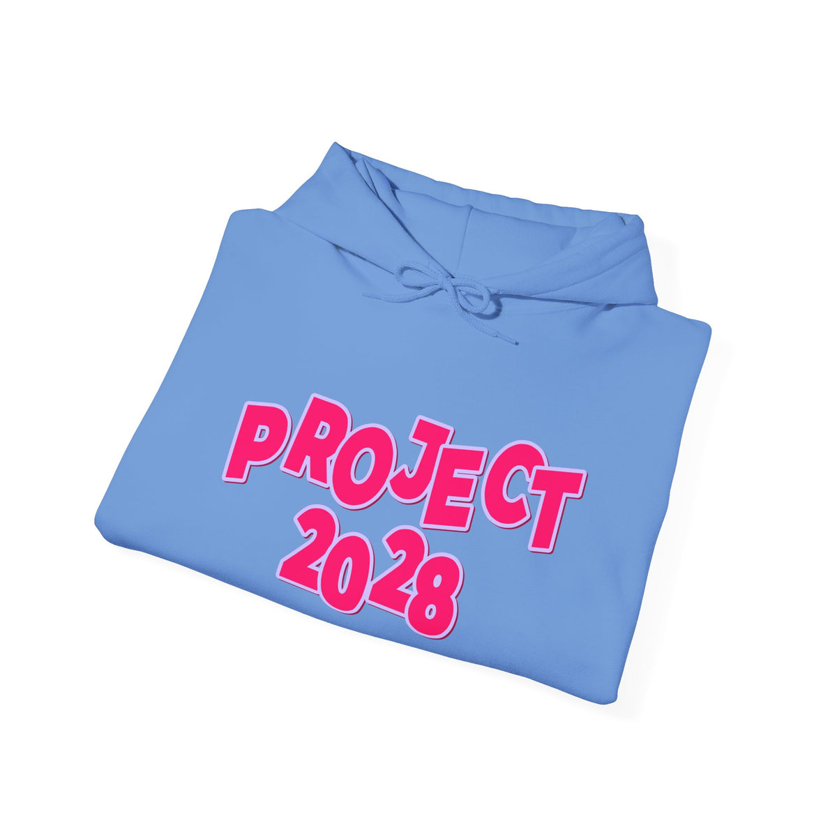 Project 2028 | Social Awareness