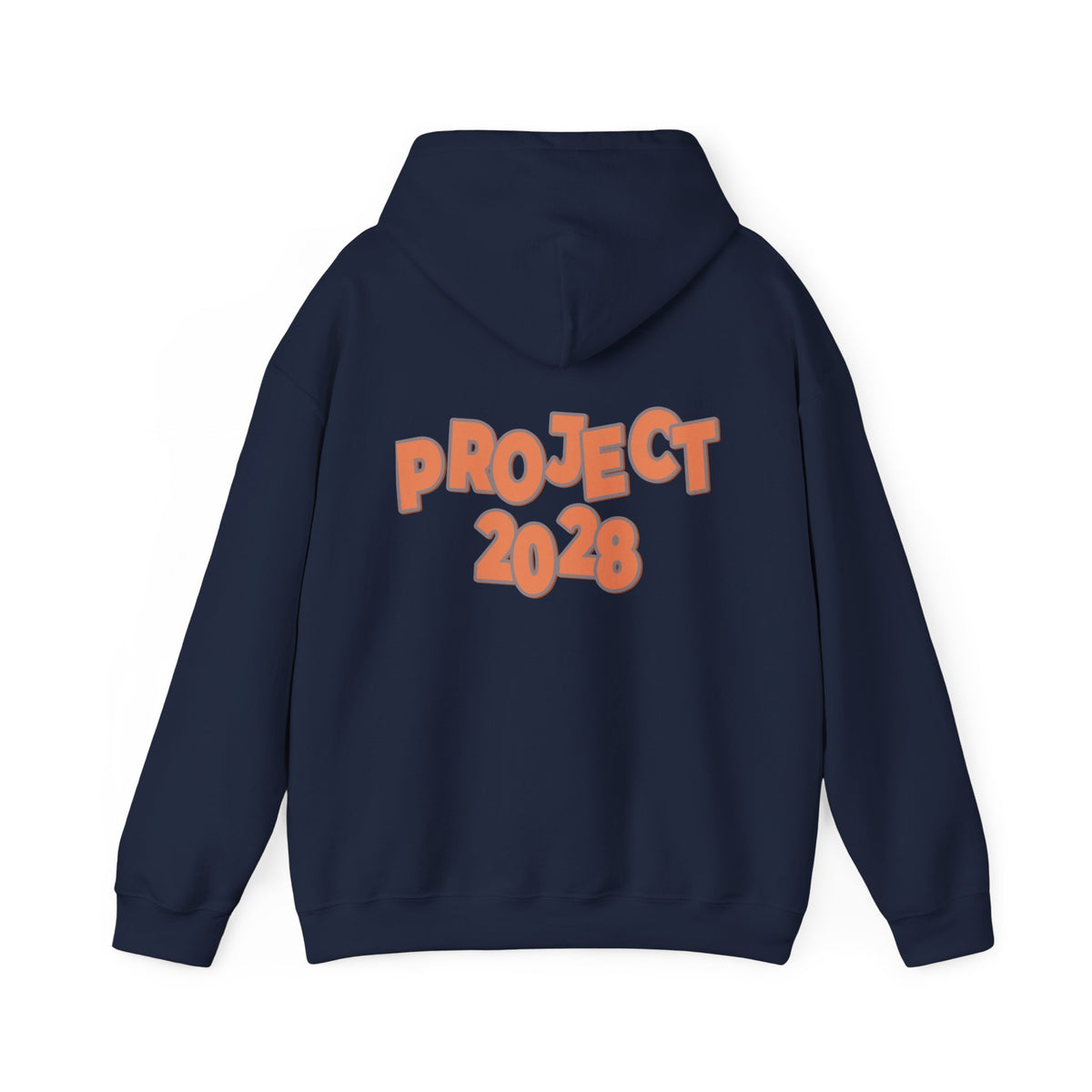Protect Democracy Project 2028 Hoodie | Social Awareness