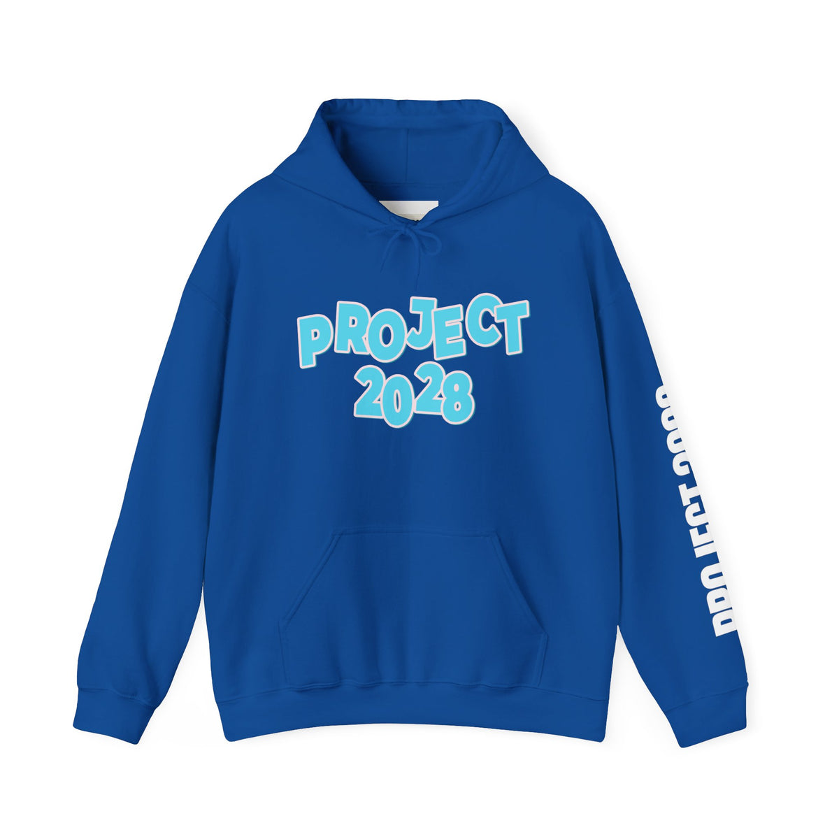 Project 2028 Hoodie | Democracy | Social Awareness
