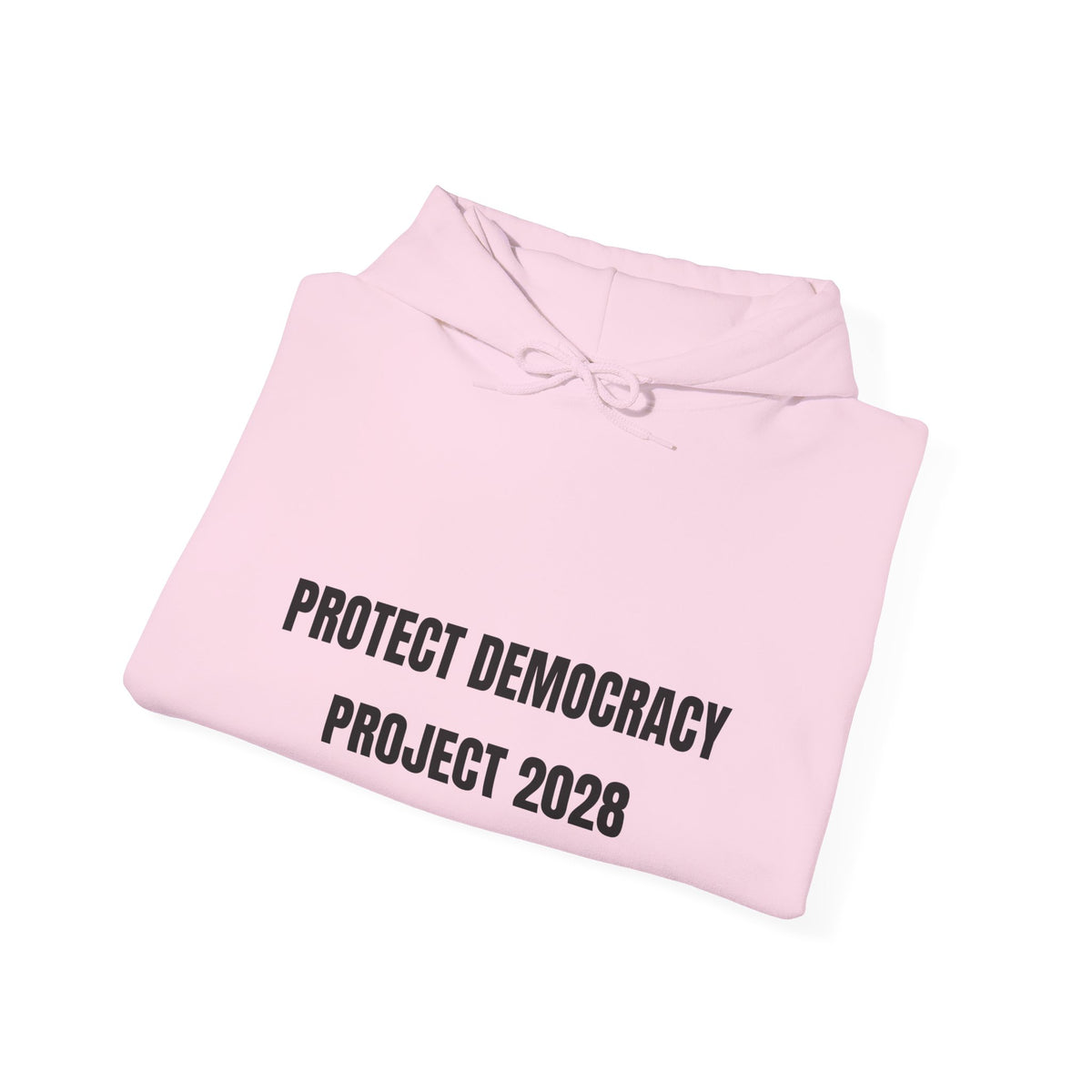 Protect Democracy Project 2028 Hoodie | Social Awareness