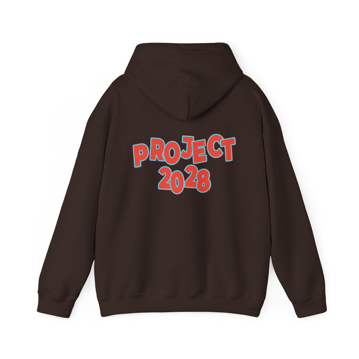Action Project 2028 Hoodie | Democracy Movement Sweatshirt