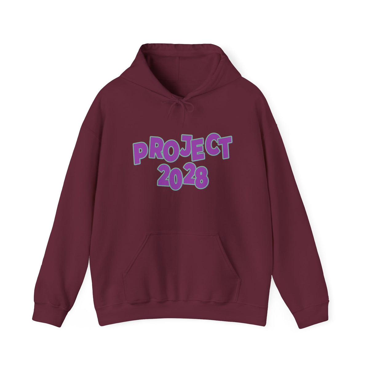 Project 2028 Hoodie | Democracy | Social Awareness