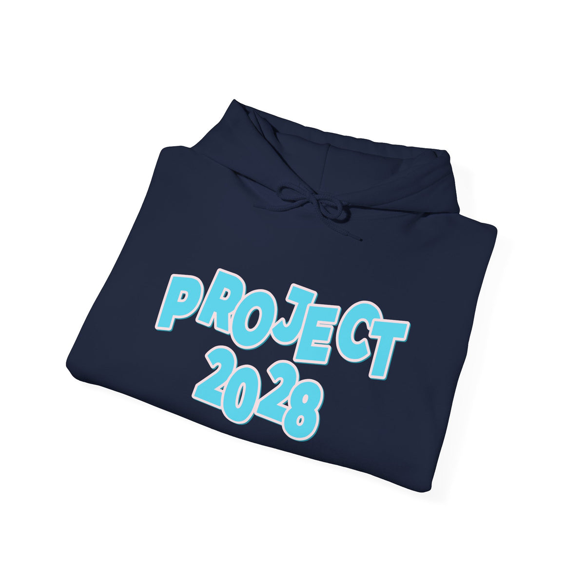 Project 2028 Hoodie | Democracy | Social Awareness