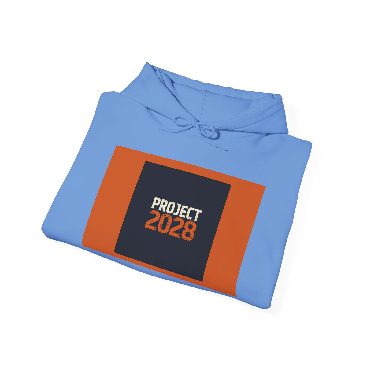 Copy of Copy of Project 2028 Graphic Hoodie | Democracy