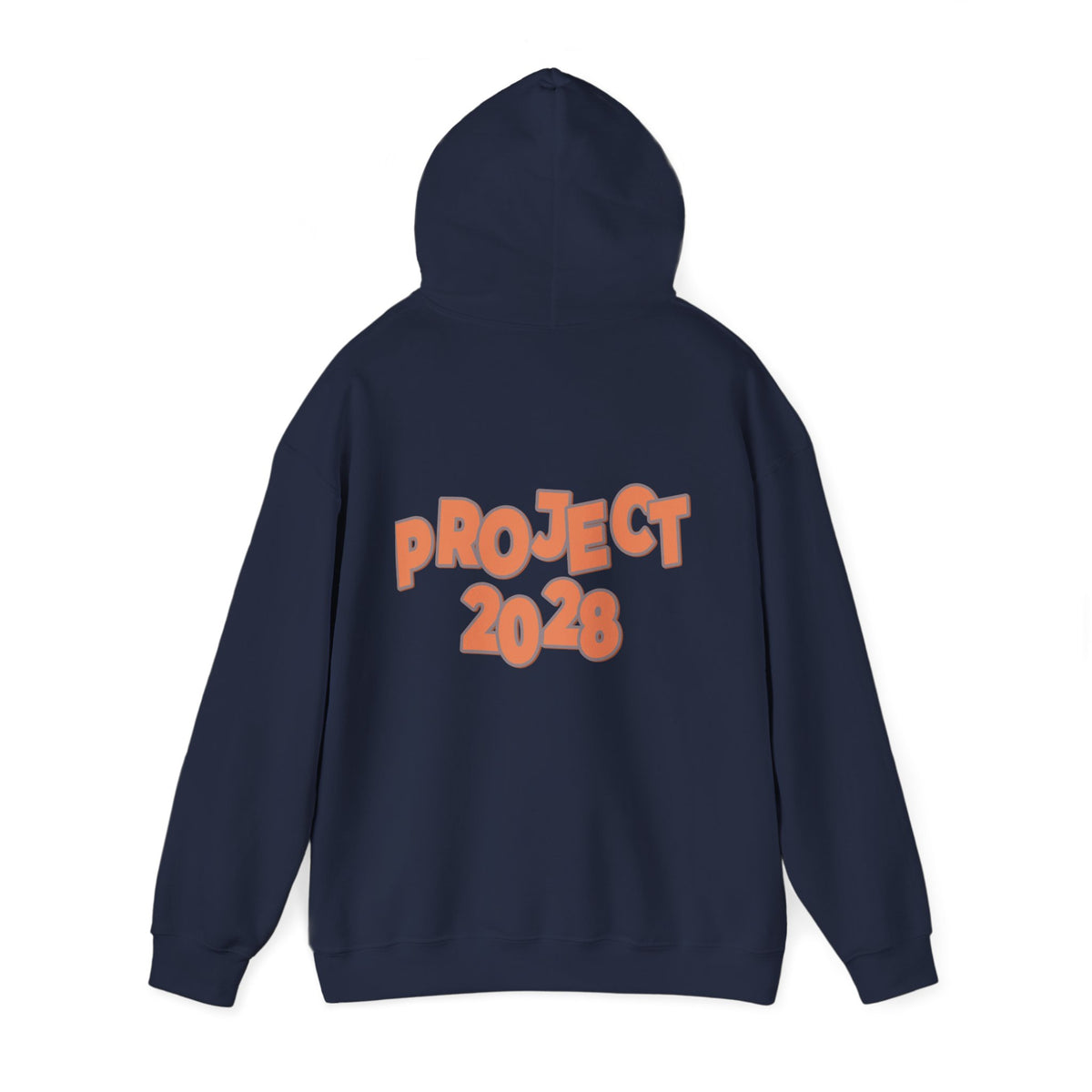 Protect Democracy Project 2028 Hoodie | Social Awareness