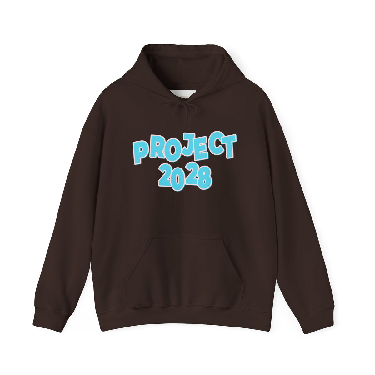 Project 2028 Hoodie | Democracy | Social Awareness