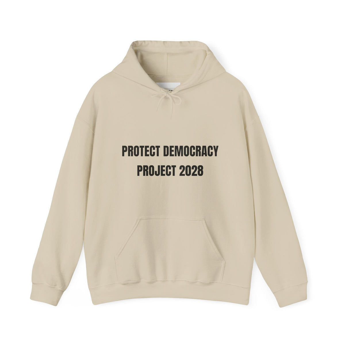 Protect Democracy Project 2028 Hoodie | democracy text design