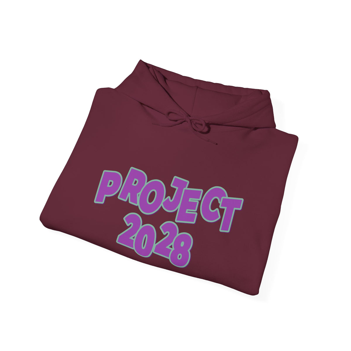 Project 2028 Hoodie | Democracy | Social Awareness