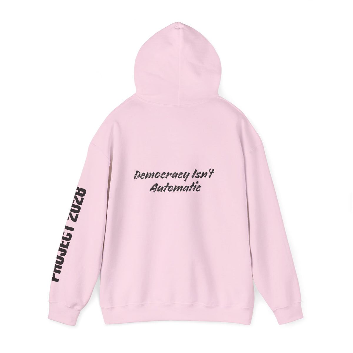Protect Democracy Project 2028 Hoodie | Social Awareness