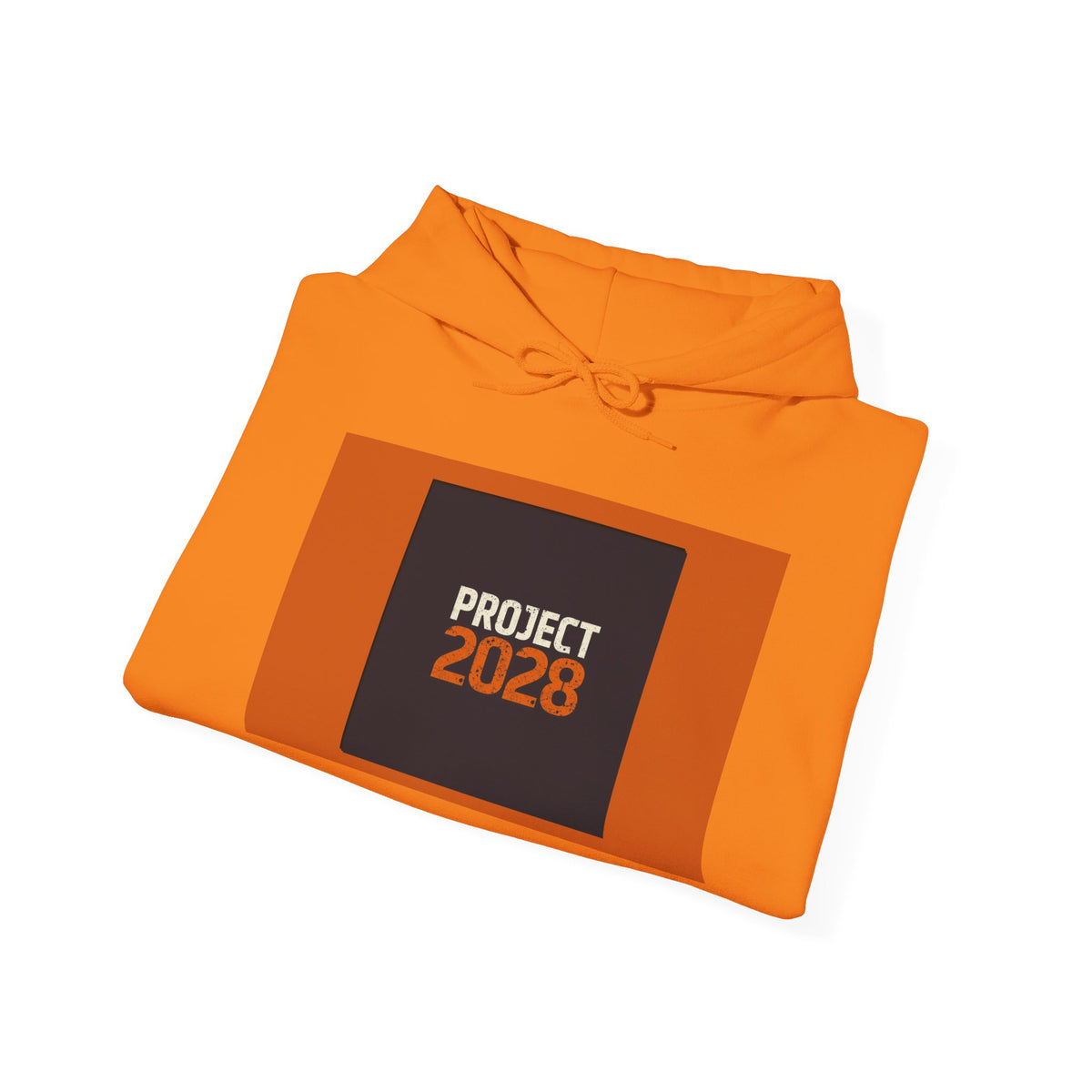 Project 2028 Graphic Hoodie | Democracy