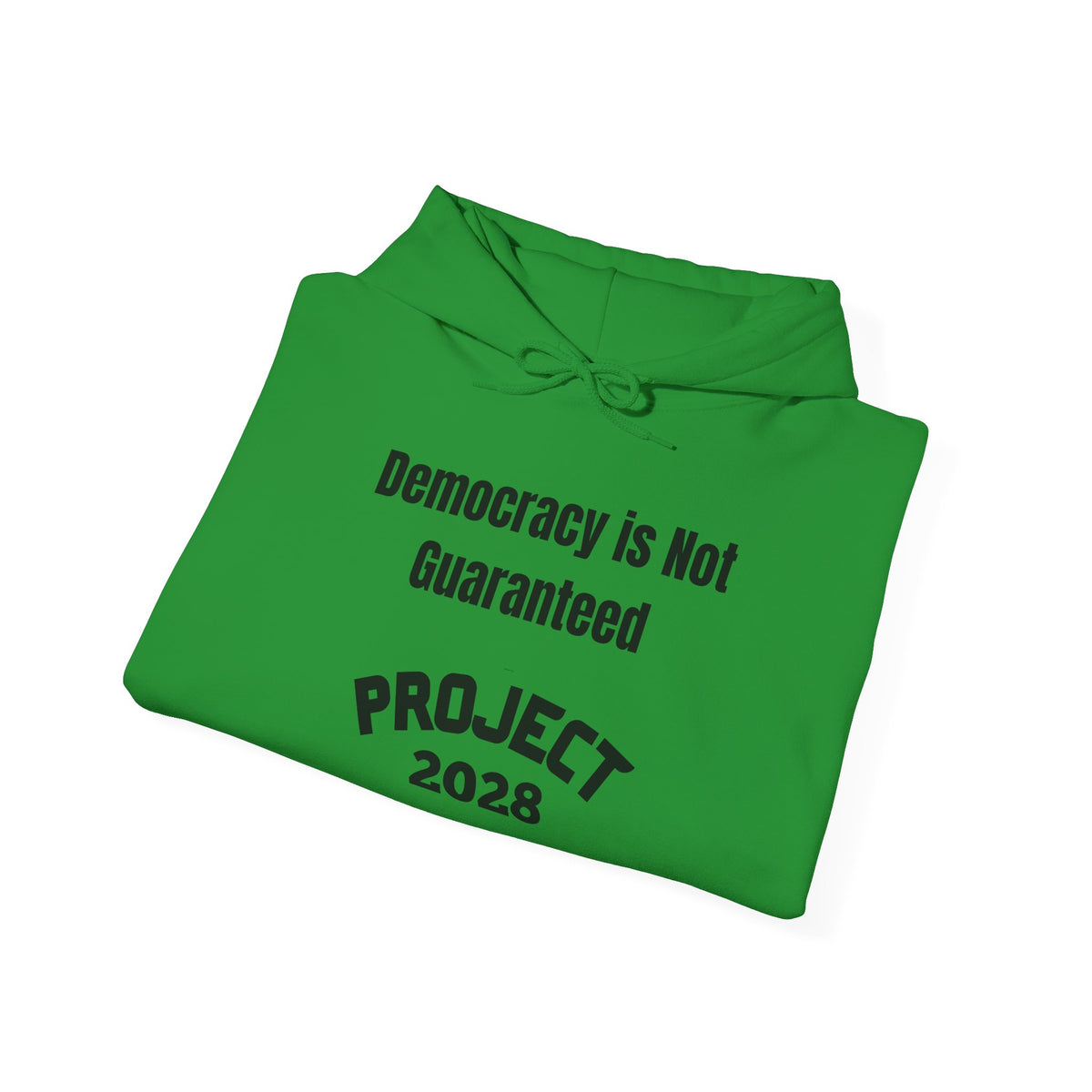 Copy of Project 2028 hoodie | Democracy | Social Awareness