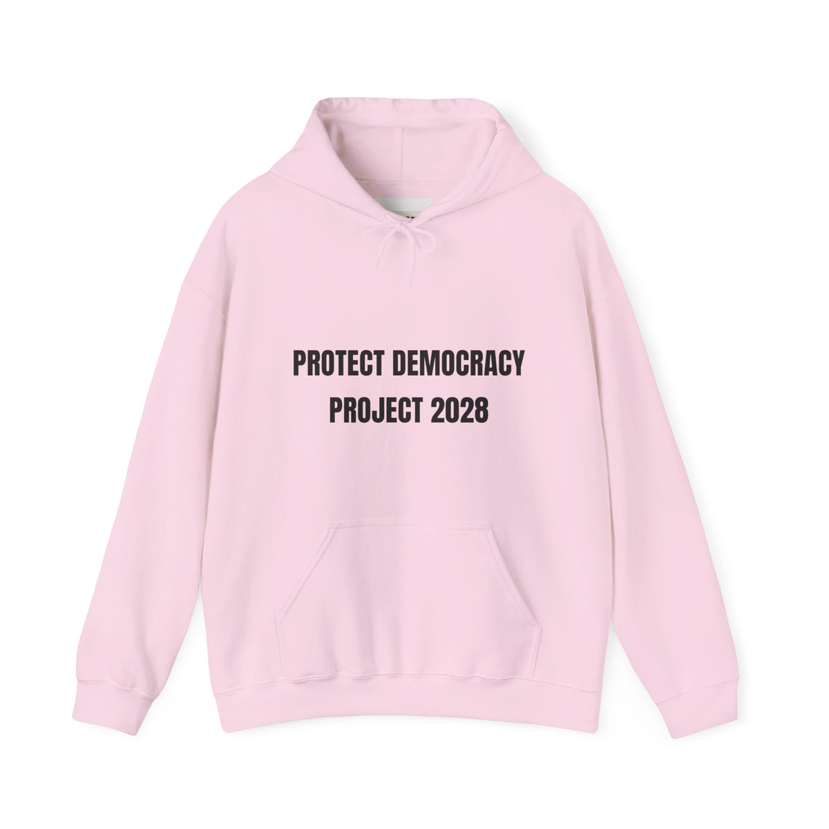 Protect Democracy Project 2028 Hoodie | democracy text design