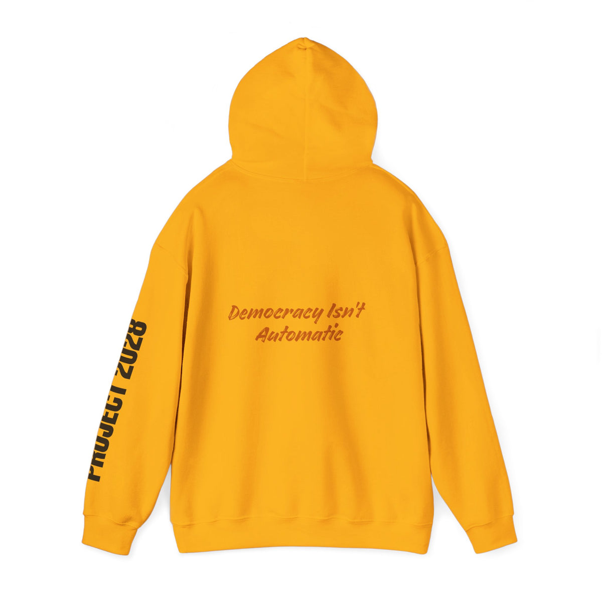 Copy of Product 2028 graphic Hoodie | Democracy Isn't Automatic slogan back