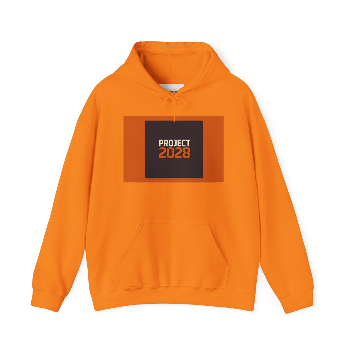 Project 2028 Graphic Hoodie | Democracy