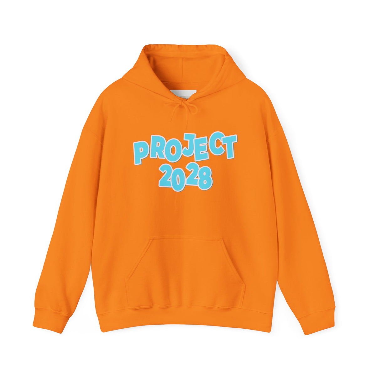 Project 2028 Hoodie | Democracy | Social Awareness