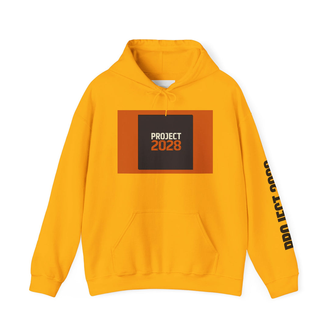 Project 2108 Graphic Hoodie | Democracy Isn't Automatic Back Print