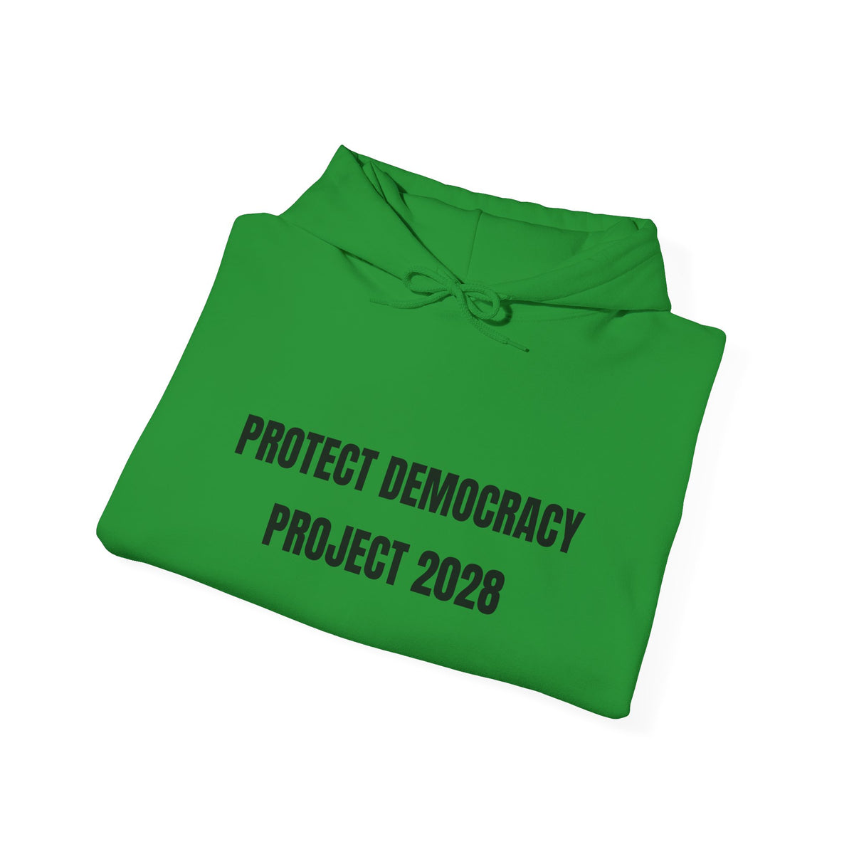 Protect Democracy Project 2028 Hoodie | Social Awareness