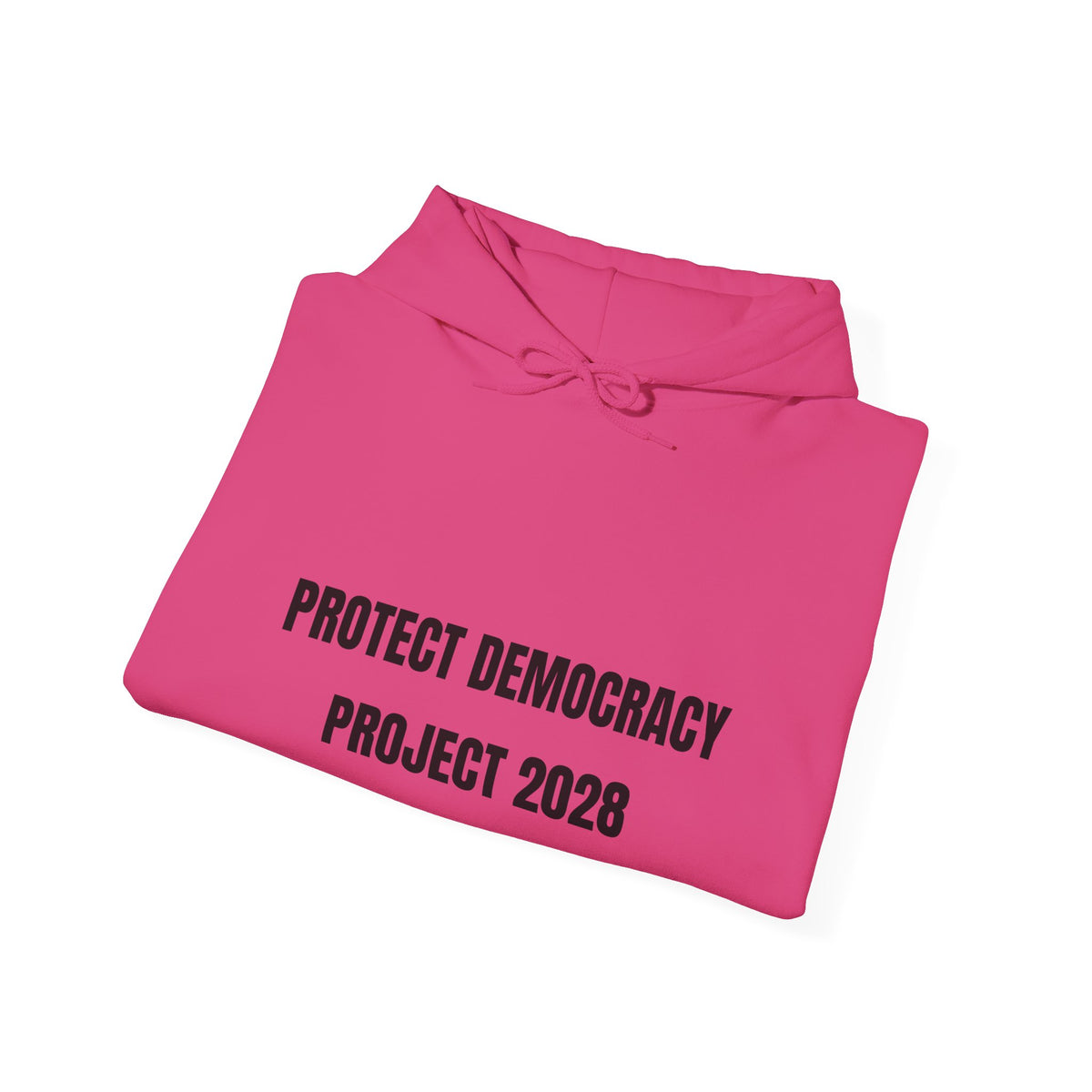 Protect Democracy Project 2028 Hoodie | Social Awareness