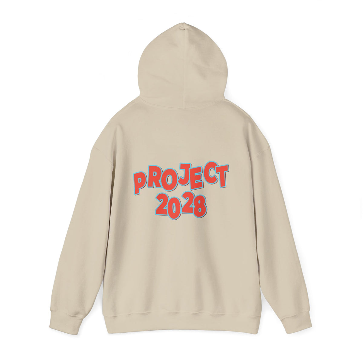 Action Project 2028 Hoodie | Democracy Movement Sweatshirt