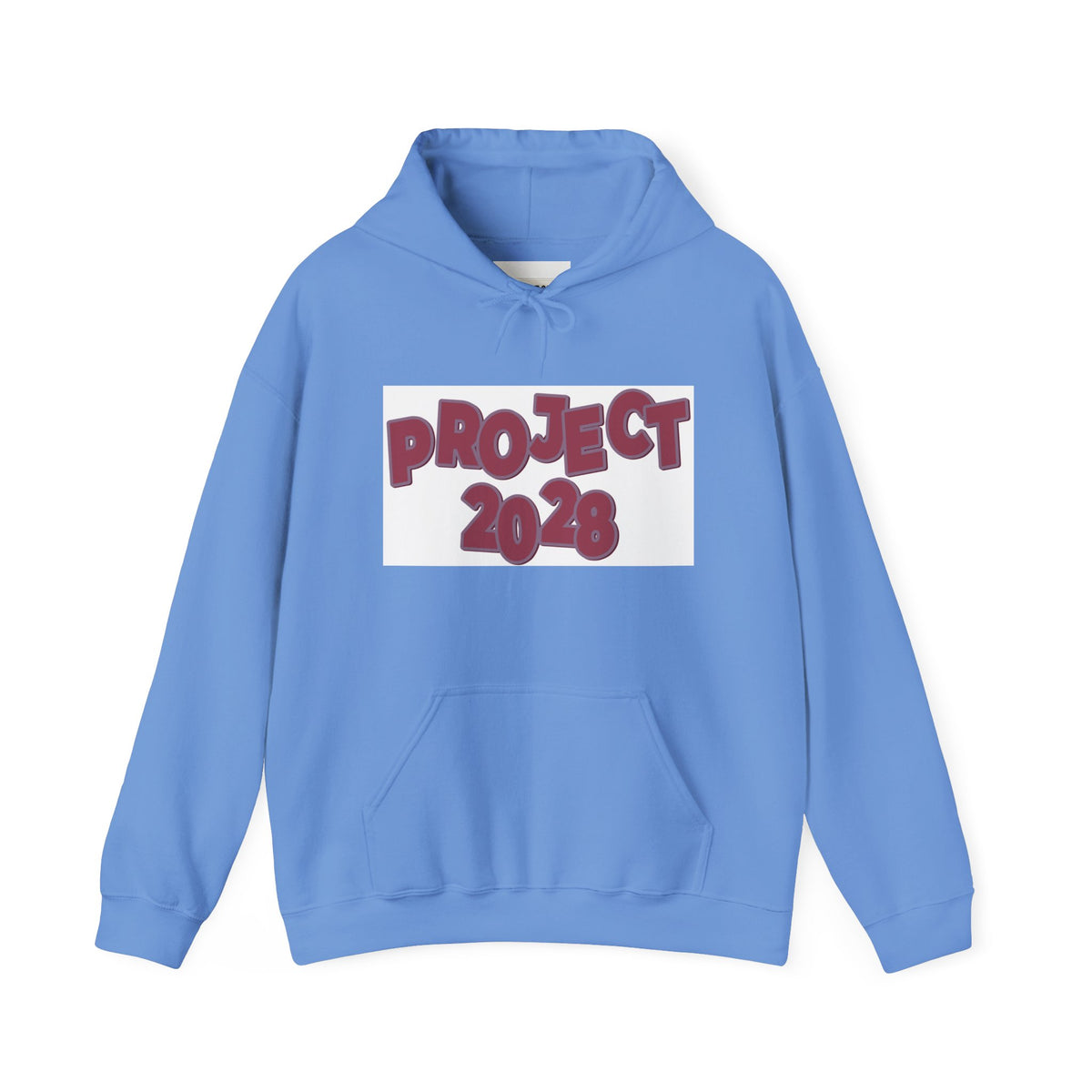 Project 2028 hoodie | Democracy Isn't Automatic back print