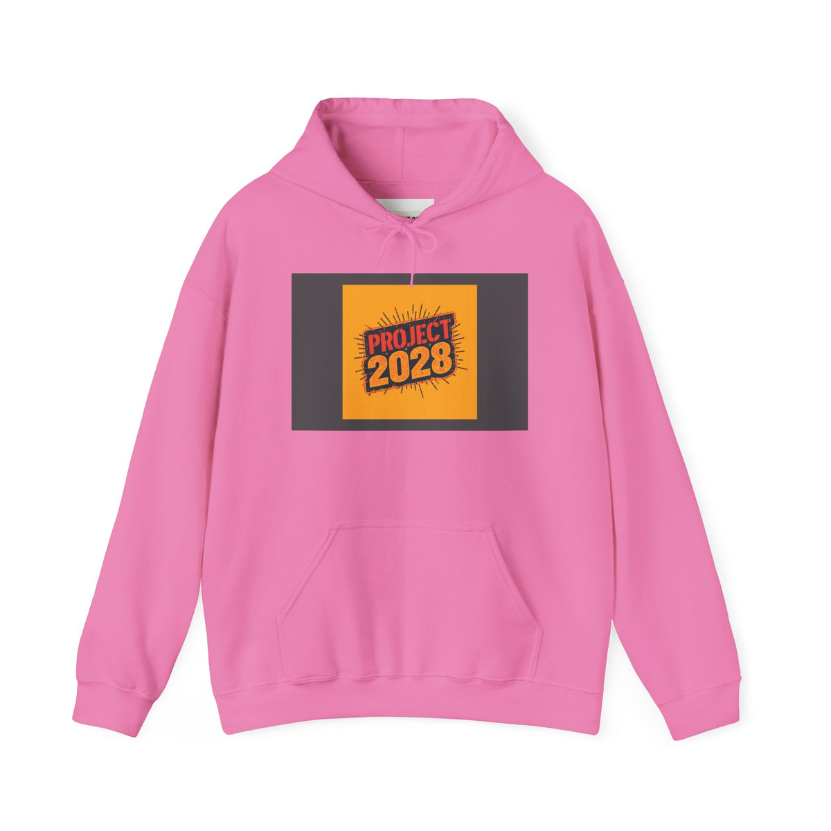 Democracy Is Not Automatic Hoodie | Project 2028, Bold Text