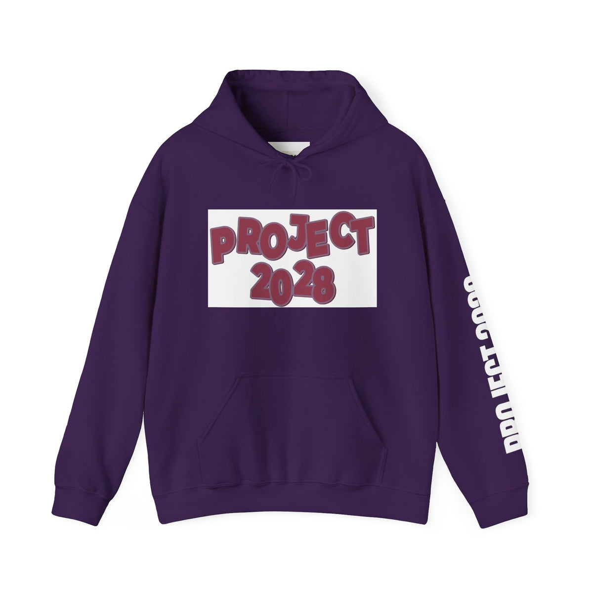 Project 2028 hoodie | Democracy Isn't Automatic back print