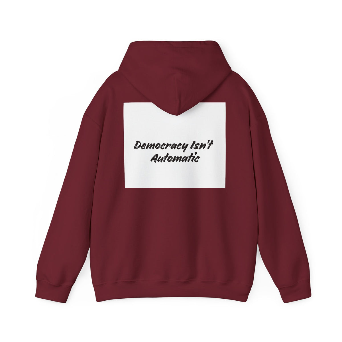 Protect Democracy Project 2028 Hoodie | Social Awareness