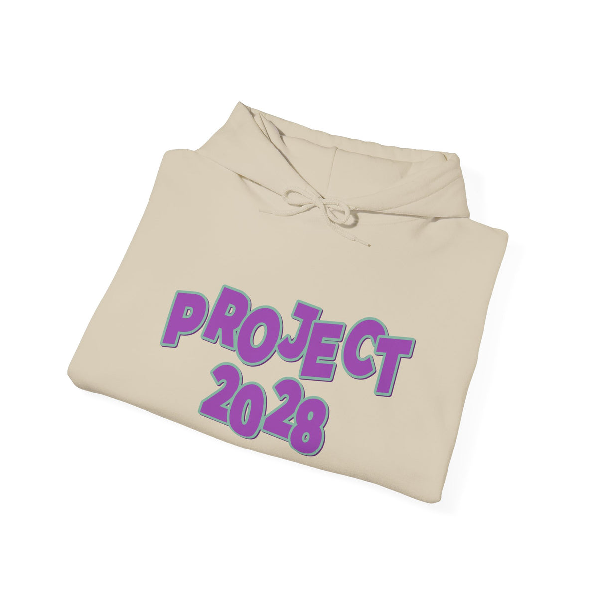 Project 2028 Hoodie | Democracy | Social Awareness