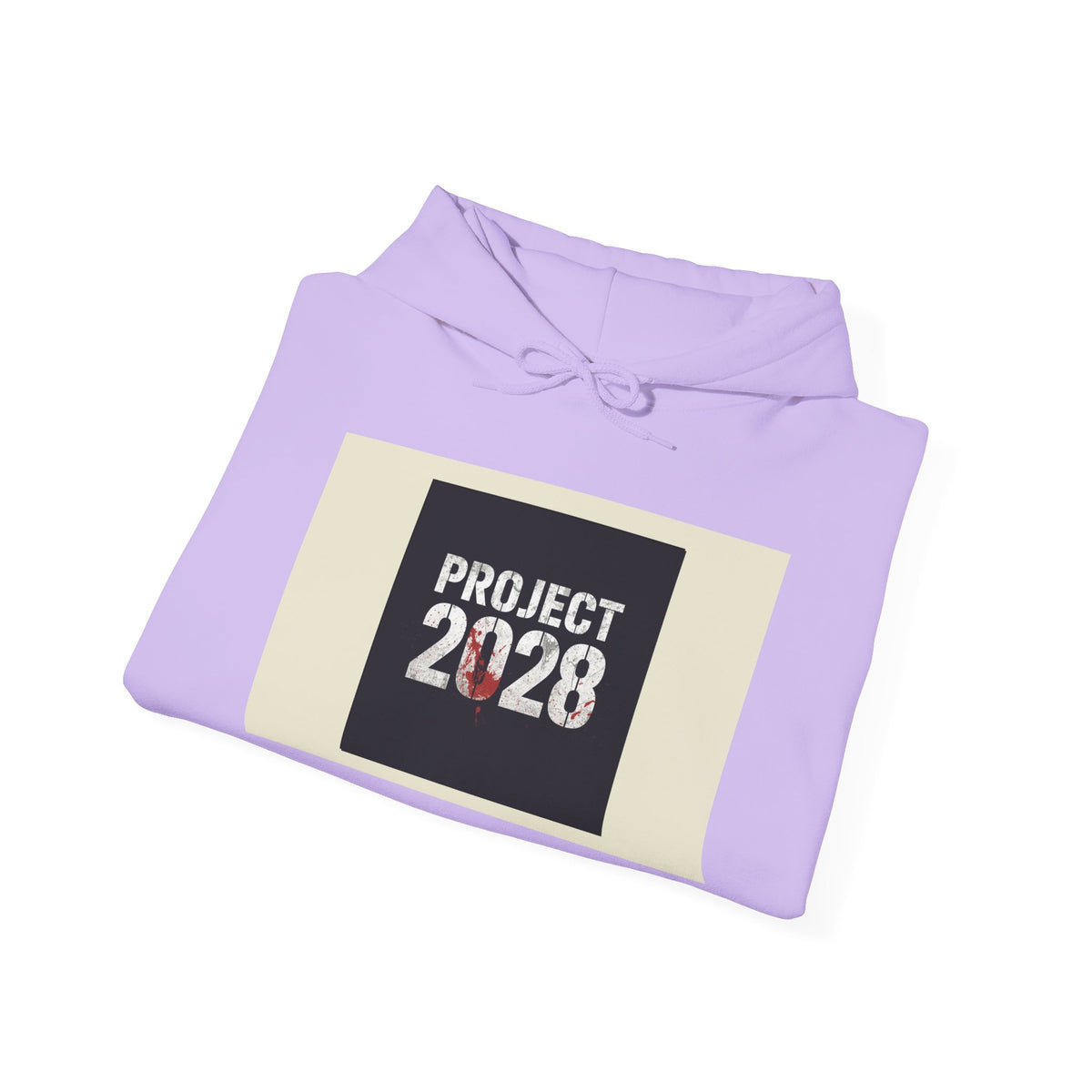 Product 2028 Graphic Hoodie | Democracy Isn't Automatic back print