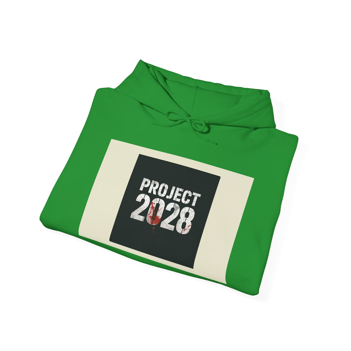 Product 2028 Graphic Hoodie | Democracy Isn't Automatic back print