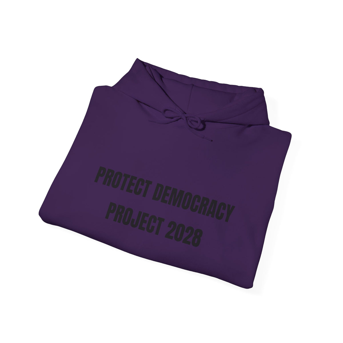 Protect Democracy Project 2028 Hoodie | Social Awareness