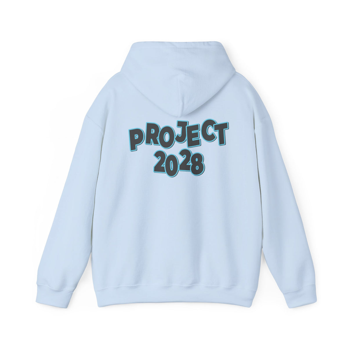 Project 2028 Hoodie | Protect Democracy, Project 2028 design