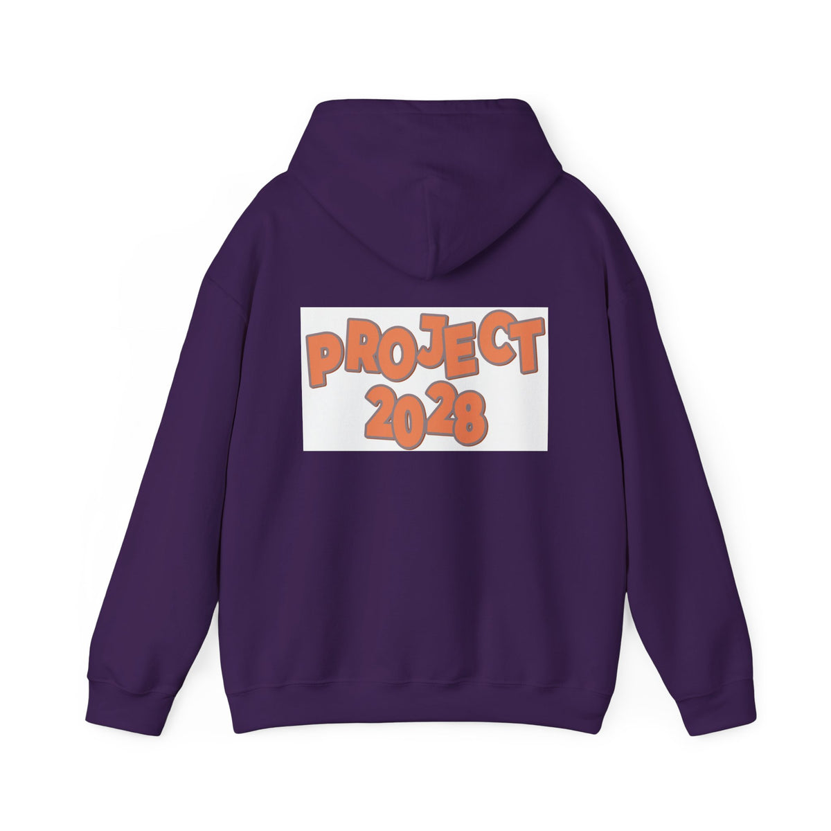 Project 2028 Hoodie | Retro Bubble Letter Design