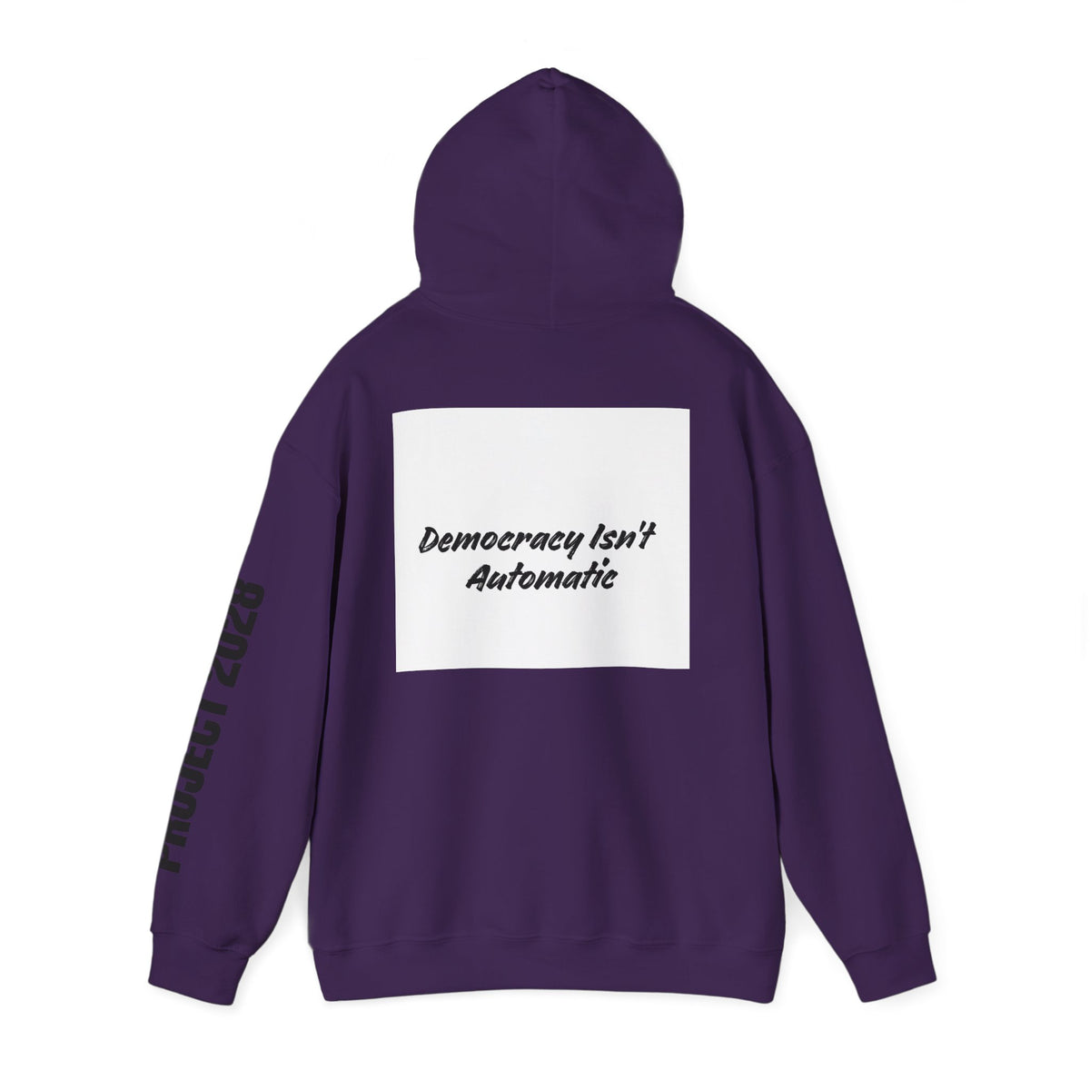 Protect Democracy Project 2028 Hoodie | Social Awareness