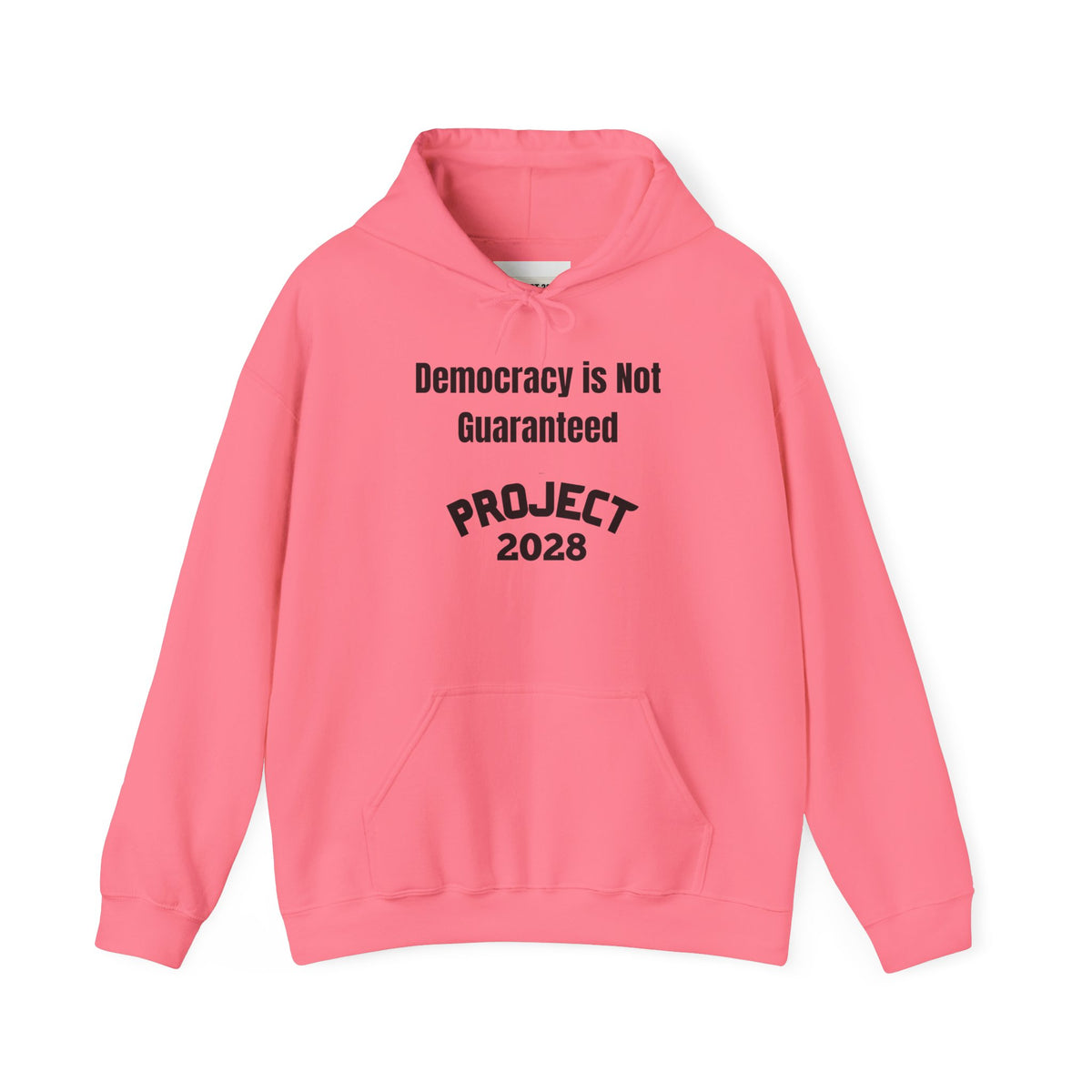 Project 2028 hoodie | Democracy | Social Awareness
