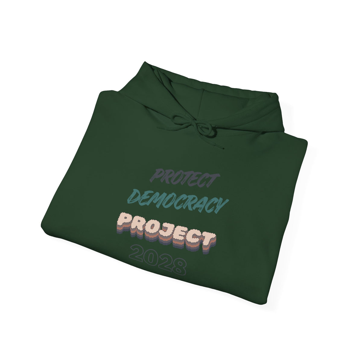 Project 2028 Hoodie | Protect Democracy graphic hoodie