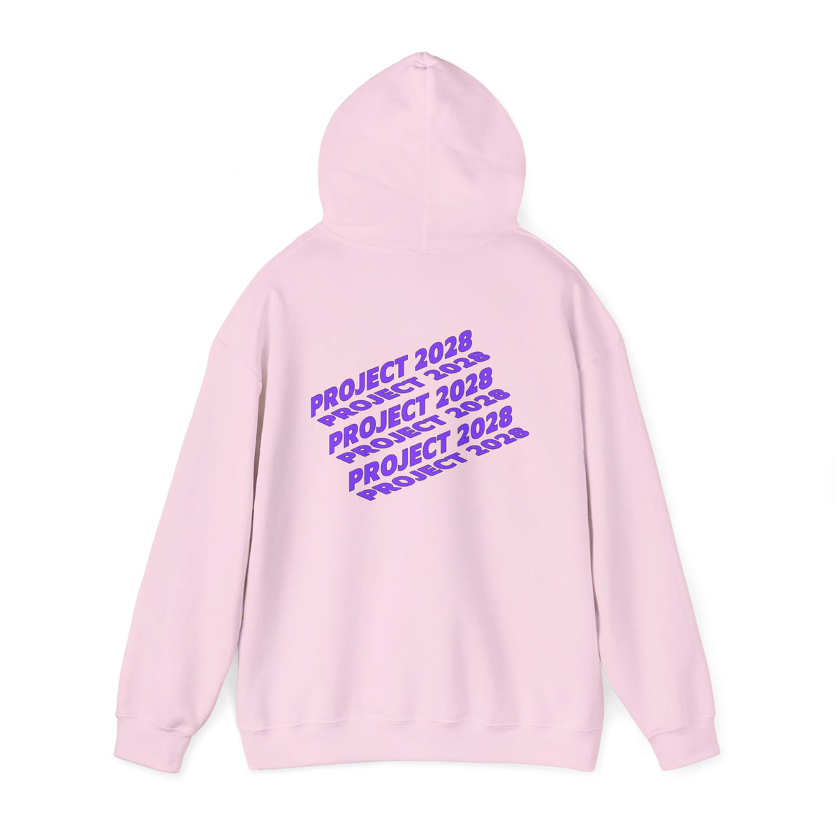 Project 2028 Hoodie | Social Justice