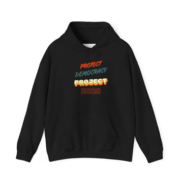Project 2028 Hoodie | Protect Democracy text design