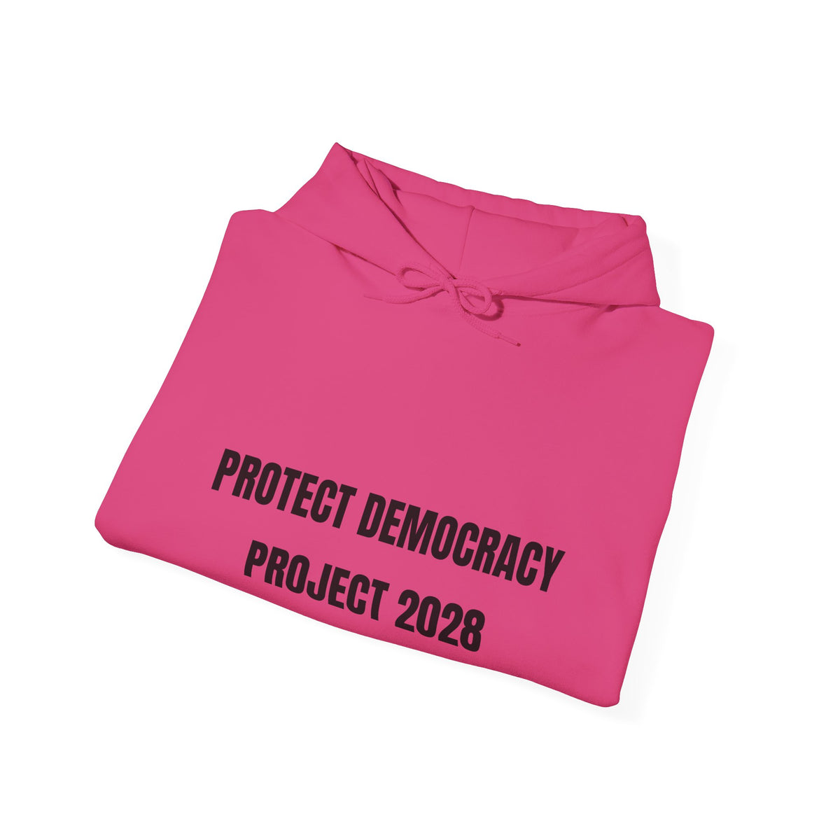 Protect Democracy Project 2028 Hoodie | democracy text design