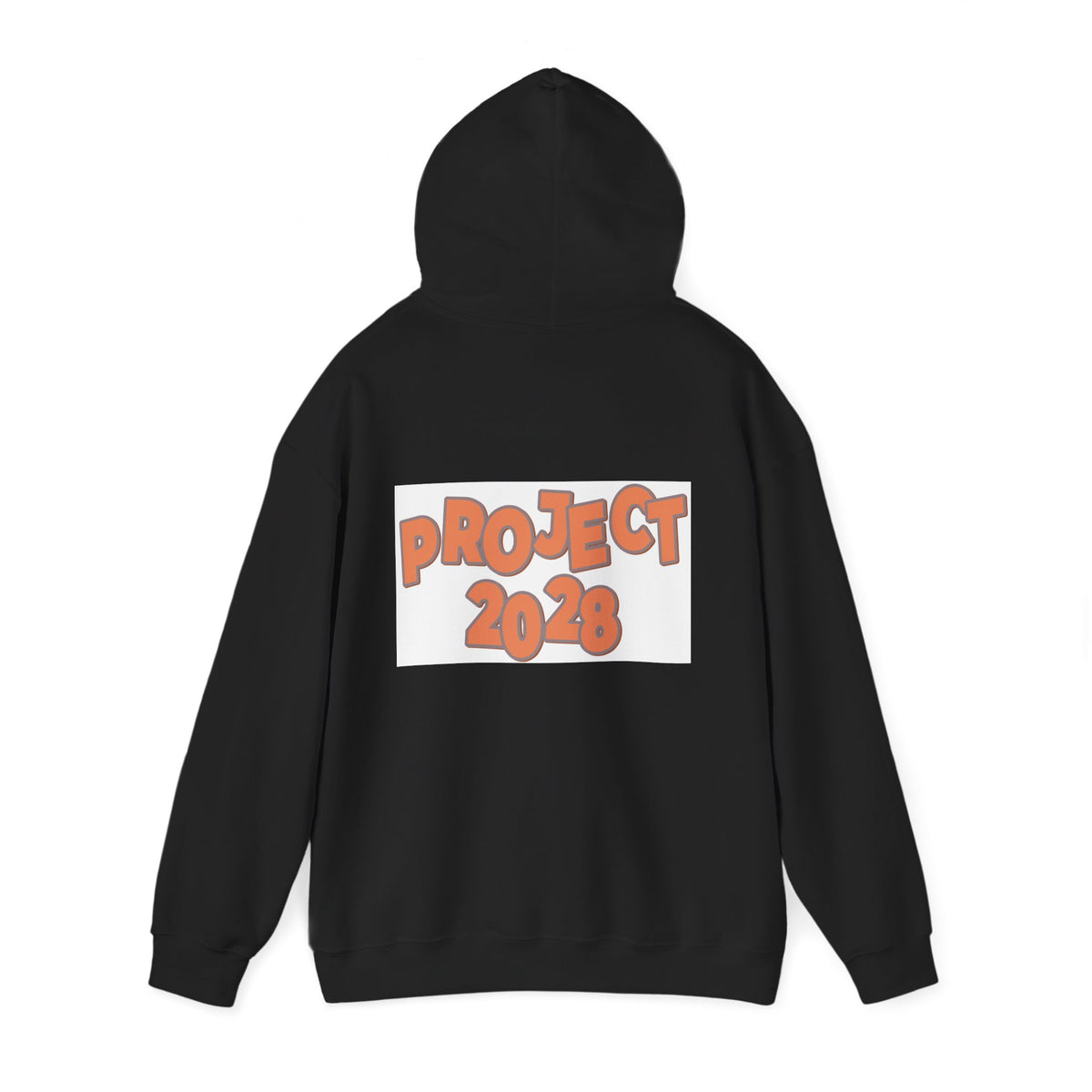 Project 2028 Hoodie | Protect Democracy text design