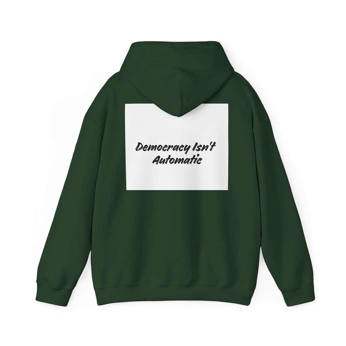 Protect Democracy Project 2028 Hoodie | Social Awareness
