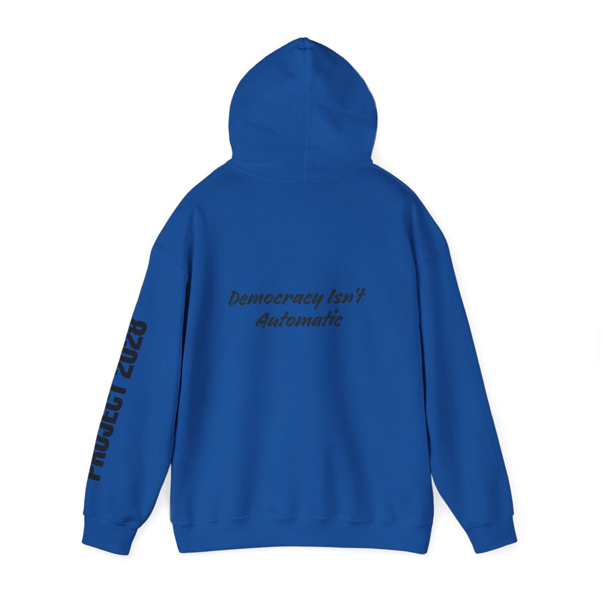 Protect Democracy Project 2028 Hoodie | Social Awareness
