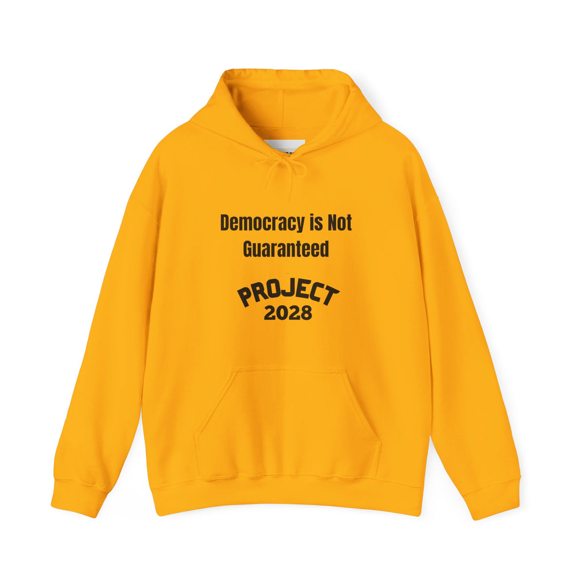 Democracy Isn't Automatic hoodie | Project 2028 slogan hoodie